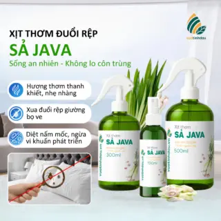 Xịt Đuổi Rệp Giường Mạt Bụi Ve Chó VUATINHDAU 500ml Tinh Dầu Thảo Mộc An Toàn Cho Nhà Cửa Mùi Sả Java