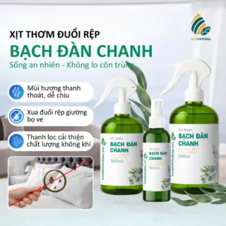 Xịt Đuổi Rệp Giường Mạt Bụi Ve Chó VUATINHDAU 500ml Tinh Dầu Thảo Mộc An Toàn Cho Nhà Cửa Mùi Bạch Đàn Chanh
