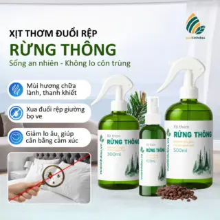 Xịt Đuổi Rệp Giường Mạt Bụi Ve Chó VUATINHDAU 500ml Tinh Dầu Thảo Mộc An Toàn Cho Nhà Cửa Mùi Rừng Thông