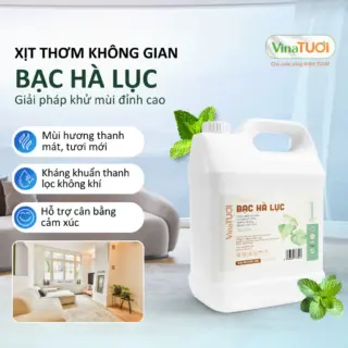 Tinh Dầu Xịt Phòng VINA TƯƠI Can 5L Khử Mùi Thiên Nhiên An Toàn Siêu Tiết Kiệm Mùi Bạc Hà Lục