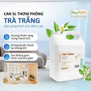 Tinh Dầu Xịt Phòng VINA TƯƠI Can 5L Khử Mùi Thiên Nhiên An Toàn Siêu Tiết Kiệm Mùi Trà Trắng
