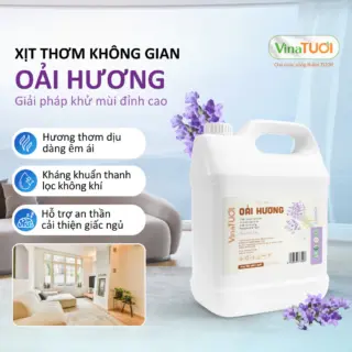 Tinh Dầu Xịt Phòng VINA TƯƠI Can 5L Khử Mùi Thiên Nhiên An Toàn Siêu Tiết Kiệm Mùi Oải Hương