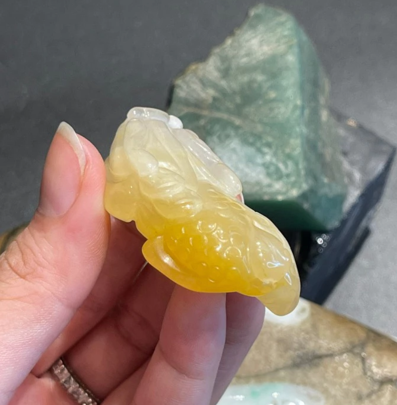 Tỳ hưu đá hoàng long - Hình ảnh 4