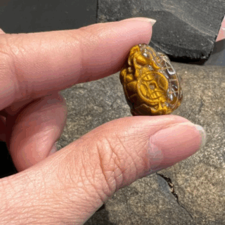 Rùa đầu rồng đá mắt mèo